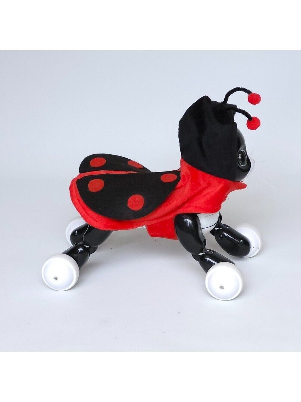 ADORABLE LADYBUG CAT Costume Antennae Velcro Closure Medium Cat